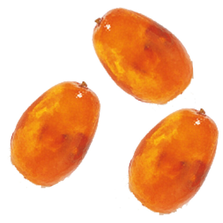 Kumquat Confit glace | Artikelnummer: LI17520