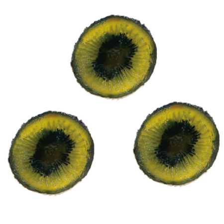 Tranche De Kiwi Confit glace | Artikelnummer: LI17526