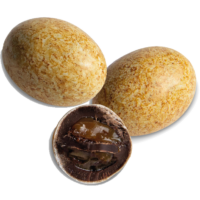 Goeland-Möweneier Karamell | Artikelnummer: MD00585