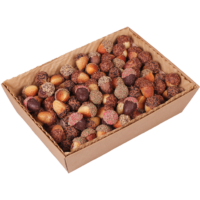 Eicheln | Artikelnummer: IC8298